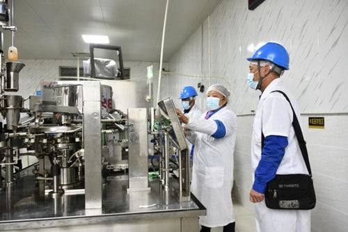 助力鄉村振興 國網自貢供電公司為農產品企業送電